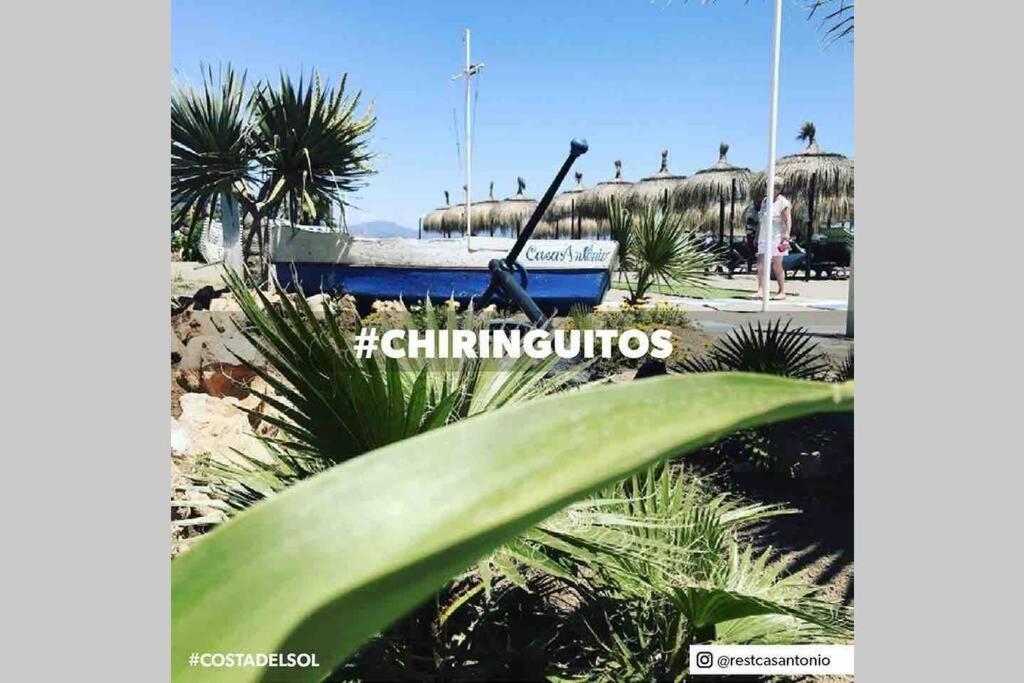 Begonia Studio 119 Torremolinos Buitenkant foto