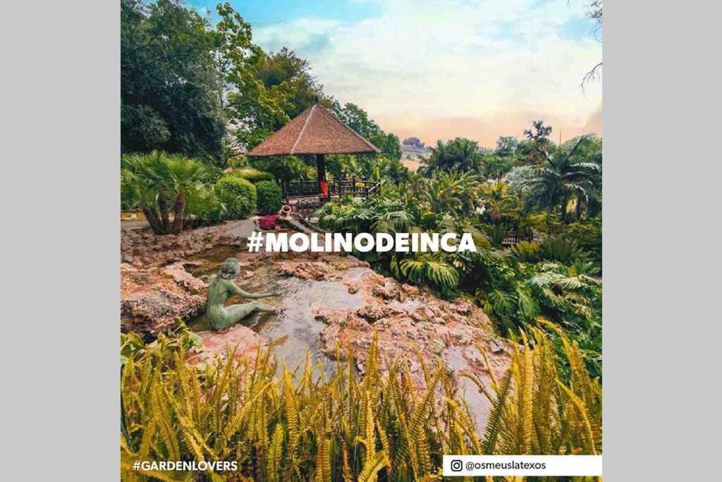 Begonia Studio 119 Torremolinos Buitenkant foto